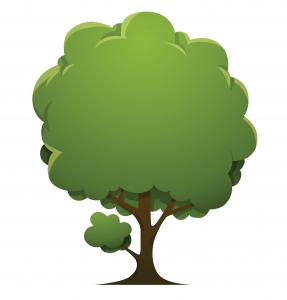 Joe Barbieri Financial Planner